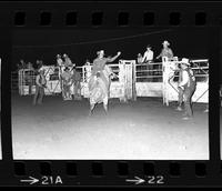 Cecil Arnett on Bull #321