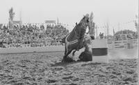 Erin Treadway Barrel racing