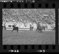 Billy Doenz Calf roping