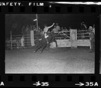 Pete Flint on Bull #8