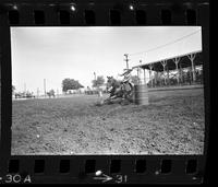 K. C. Wojokowski Barrel racing