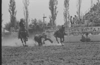 Troy Brown Steer wrestling