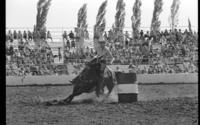 Sandy Hickox Barrel racing