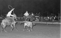 Unidentified Team ropers