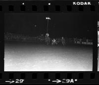 Stan Winfield Steer wrestling
