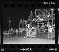 Jerry Johnson on Bull #17