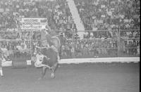 Chas. Sampson on Bull #+23
