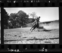 Unidentified Barrel racer