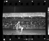 Jim Hill on Saddle bronc #70