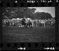 Norm Dannecker Steer wrestling