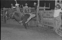 Don Crumpler on Bull #28