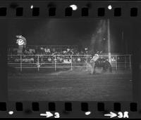 John McSweeney Calf roping