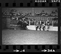 Unidentified Bull rider