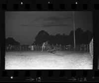 T.C. McQuerry Calf roping