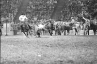 Tim Roberts Steer wrestling