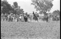 ? Rakenbaugh Calf roping