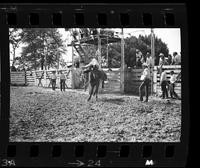 Travis Dyer riding Bareback