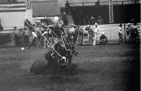 Mark Wallace Calf roping