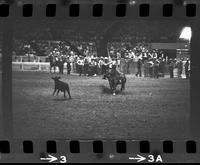 Richard Stowers Calf roping