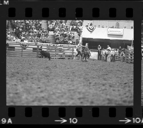 NFR, Oklahoma City,  Roll R, 8th Performance