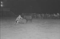Miles Hare, Rodeo clown, Bull fighting with Bull #H