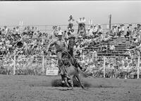 Steve Schultz Calf roping