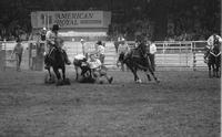 John Robertson Steer wrestling