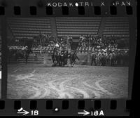 Chip Whitaker Steer wrestling