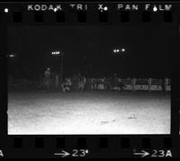 Don Winegar Steer wrestling