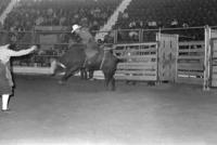 Doug Shipe on Bull #66