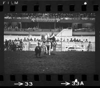 Rex Bland Calf roping, 9.6 Sec