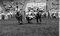 Doug Janke Steer wrestling