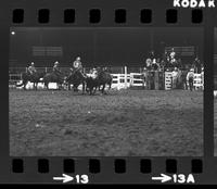 Leon Bauerle Steer wrestling