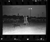 Fred Coughlin Calf roping, 17.0 Sec