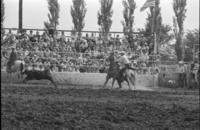 Ed Workman Calf roping