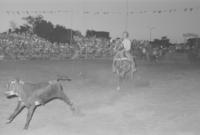 Paul Zanardt Calf roping