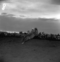 Unidentified rider on unknown mount