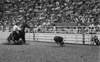 Larry Bailey Calf roping