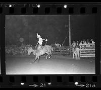 Bill Evans on Saddle bronc #+B