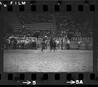 Zane Tibbets Calf roping