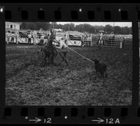 Dub Grant Calf roping