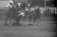 J.W. Farrington Steer wrestling