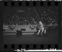 Terry Davidson Calf roping