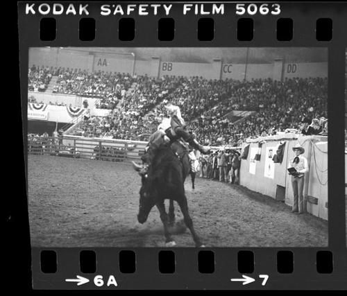 NFR, Oklahoma City, Roll AA, 8th Perf.