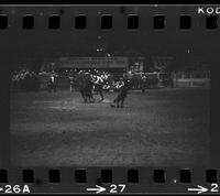 C.R. Halquist Calf roping