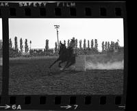 Unknown Barrel racer