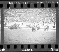 Stan Harter Calf roping