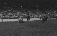 Ewing & Clegg Team roping