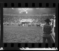 J.D. Yates & Dick Yates Team roping