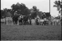 Willy Burback Steer wrestling